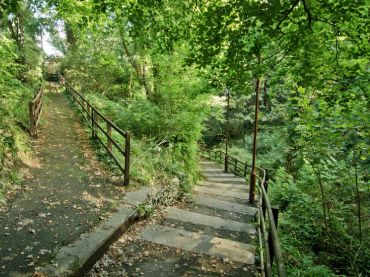 Summerhill Glen